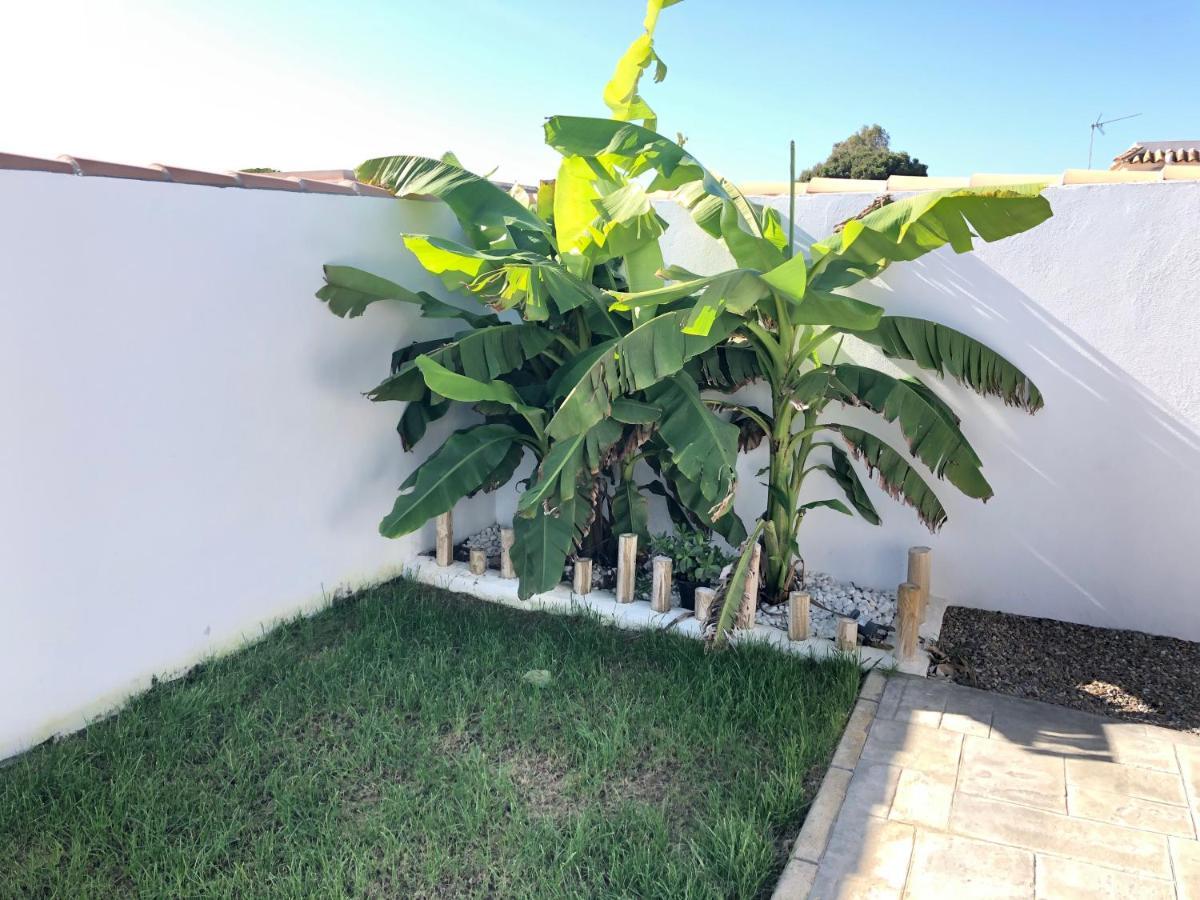 הוילה צ'יקלנה דה לה פרונטרה Palapa Beach , Chalet Con Piscina Privada Y Muy Cerca Del Mar מראה חיצוני תמונה